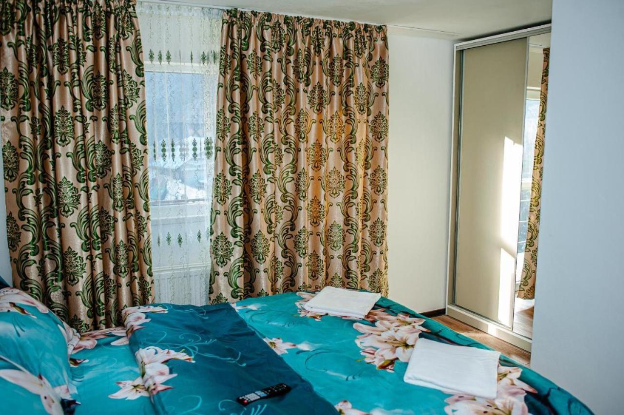 Hotel Labebe - Vidraru à Arefu Extérieur photo